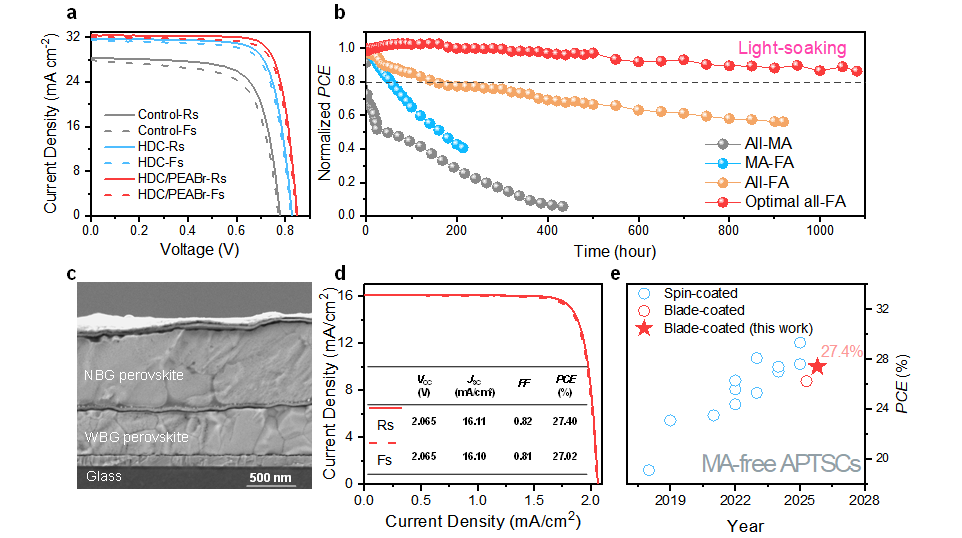 叠层器件结构、单结Pb-Sn以及叠层钙钛矿光伏性能