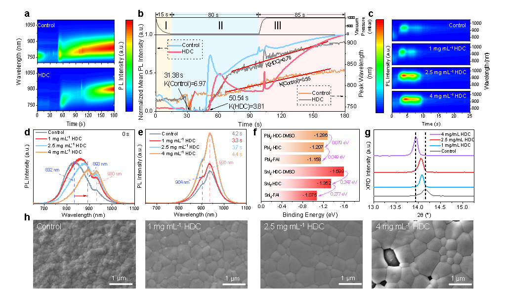 平衡Pb/Sn组分结晶速率对全FA Pb-Sn钙钛矿薄膜质量的影响