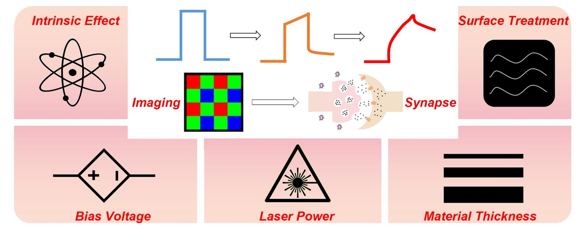 图3.各种内部和外部因素对非易失性特性的影响 配图3